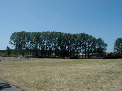 Kreisquerverbindung
Keywords: Dietzenbach Rundgang Spaziergang Sommer Kreisquerverbindung