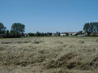 Kreisquerverbindung
Keywords: Dietzenbach Rundgang Spaziergang Sommer Kreisquerverbindung