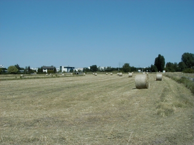 Kreisquerverbindung
Keywords: Dietzenbach Rundgang Spaziergang Sommer Kreisquerverbindung