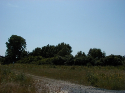 Sandhorst
Keywords: Dietzenbach Rundgang Spaziergang Sommer Sandhorst