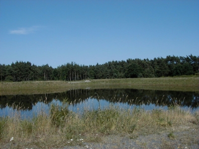 Gottlieb-Daimler-StraÃŸe - RegenrÃ¼ckhaltebecken
Keywords: Dietzenbach Rundgang Spaziergang Sommer Gottlieb Daimler StraÃŸe RegenrÃ¼ckhaltebecken