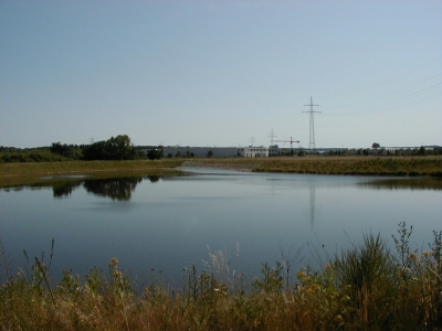 Gottlieb-Daimler-StraÃŸe - RegenrÃ¼ckhaltebecken
Keywords: Dietzenbach Rundgang Spaziergang Sommer Gottlieb Daimler StraÃŸe RegenrÃ¼ckhaltebecken