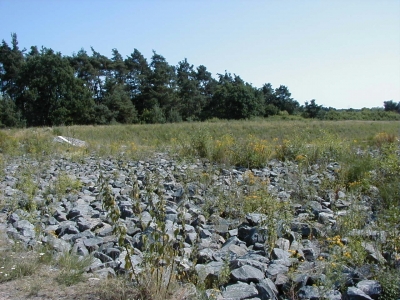 Gottlieb-Daimler-StraÃŸe - RegenrÃ¼ckhaltebecken
Keywords: Dietzenbach Rundgang Spaziergang Sommer Gottlieb Daimler StraÃŸe RegenrÃ¼ckhaltebecken