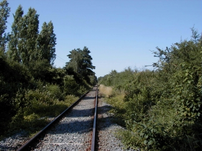 Bahnstrecke - Steinberg
Keywords: Dietzenbach Rundgang Spaziergang Sommer Bahnstrecke Steinberg