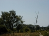 Filename=PIC00030.jpg
Filesize=87KiB
Dimensions=400x300
Date added=Jun 25, 2009 PIC00030.jpg