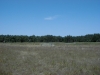 Filename=PIC00049.jpg
Filesize=85KiB
Dimensions=400x300
Date added=Jun 25, 2009 PIC00049.jpg