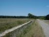 Filename=PIC00058.jpg
Filesize=95KiB
Dimensions=400x300
Date added=Jun 25, 2009 PIC00058.jpg