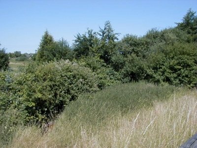 Kreisquerverbindung
Keywords: Dietzenbach Rundgang Spaziergang Sommer Kreisquerverbindung