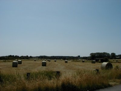 Kreisquerverbindung
Keywords: Dietzenbach Rundgang Spaziergang Sommer