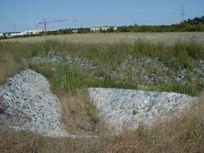 Sandhorst
Keywords: Dietzenbach Rundgang Spaziergang Sommer Sandhorst