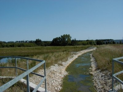 Gottlieb-Daimler-StraÃŸe - RegenrÃ¼ckhaltebecken
Keywords: Dietzenbach Rundgang Spaziergang Sommer Gottlieb Daimler StraÃŸe RegenrÃ¼ckhaltebecken