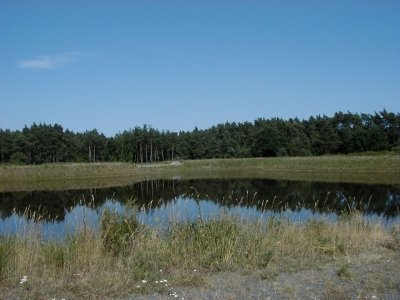 Gottlieb-Daimler-StraÃŸe - RegenrÃ¼ckhaltebecken
Keywords: Dietzenbach Rundgang Spaziergang Sommer Gottlieb Daimler StraÃŸe RegenrÃ¼ckhaltebecken