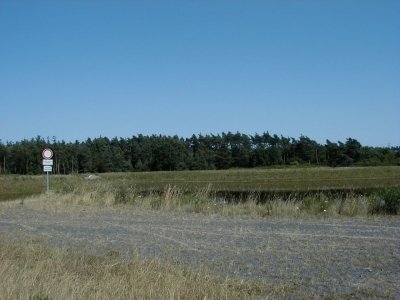 Gottlieb-Daimler-StraÃŸe - RegenrÃ¼ckhaltebecken
Keywords: Dietzenbach Rundgang Spaziergang Sommer Gottlieb Daimler StraÃŸe RegenrÃ¼ckhaltebecken