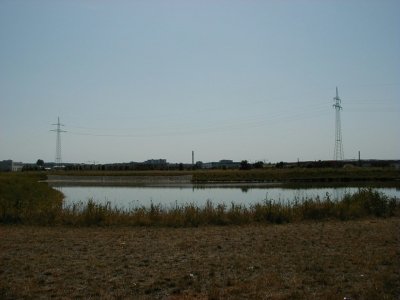 Gottlieb-Daimler-StraÃŸe - RegenrÃ¼ckhaltebecken
Keywords: Dietzenbach Rundgang Spaziergang Sommer Gottlieb Daimler StraÃŸe RegenrÃ¼ckhaltebecken