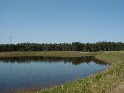 Gottlieb-Daimler-StraÃŸe - RegenrÃ¼ckhaltebecken
Keywords: Dietzenbach Rundgang Spaziergang Sommer Gottlieb Daimler StraÃŸe RegenrÃ¼ckhaltebecken