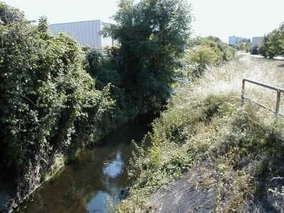 Bieber - Steinberg
Keywords: Dietzenbach Rundgang Spaziergang Sommer Bieber Steinberg