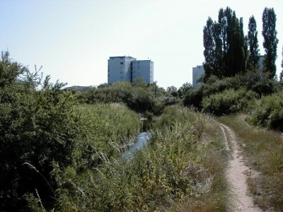 Bieber - Steinberg
Keywords: Dietzenbach Rundgang Spaziergang Sommer Bieber Steinberg