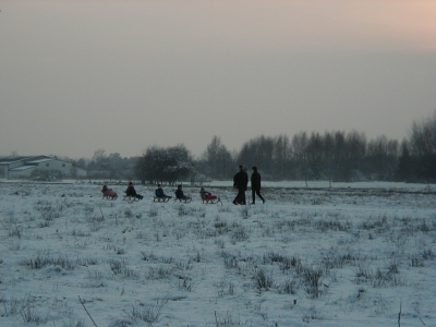 Neubaugebiet Offenbacher StraÃŸe
Keywords: Dietzenbach Rundgang Spaziergang Winter Neubaugebiet Offenbacher StraÃŸe