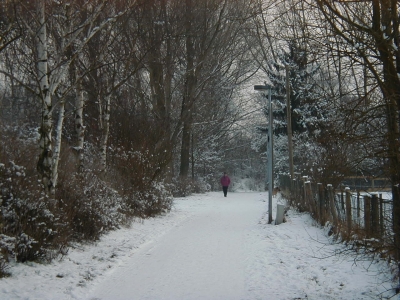Stadtpark
Keywords: Dietzenbach Rundgang Spaziergang Winter Stadtpark