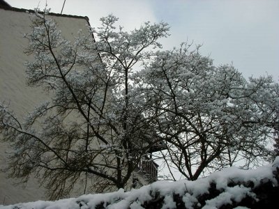 Altstadt
Keywords: Dietzenbach Rundgang Spaziergang Winter Altstadt