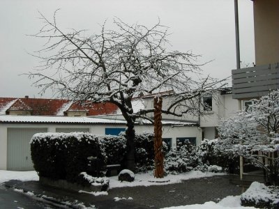 Altstadt
Keywords: Dietzenbach Rundgang Spaziergang Winter Altstadt