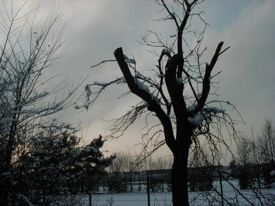 Carl-Ulrich-StraÃŸe
Keywords: Dietzenbach Rundgang Spaziergang Winter Carl Ulrich StraÃŸe