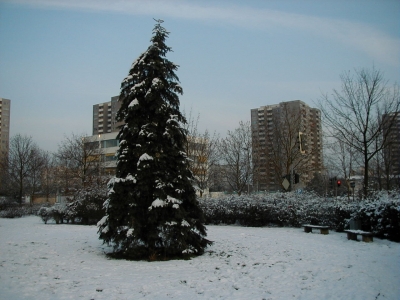 Steinberg
Keywords: Dietzenbach Rundgang Spaziergang Winter Steinberg