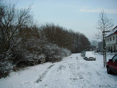 Am Stiergraben
Keywords: Dietzenbach Rundgang Spaziergang Winter Stiergraben