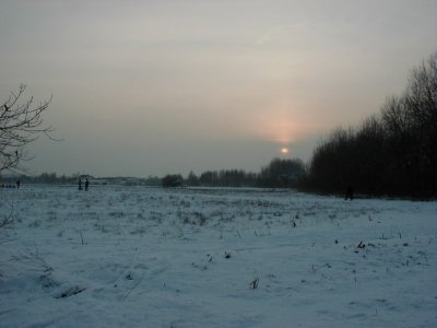 Neubaugebiet Offenbacher StraÃŸe
Keywords: Dietzenbach Rundgang Spaziergang Winter Neubaugebiet Offenbacher StraÃŸe