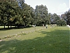 P8220120.JPG