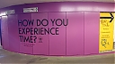 IMG_20220812_121041_433.jpg