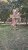 IMG_20220810_141347_539.jpg