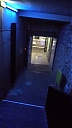IMG_20220810_143736_372.jpg