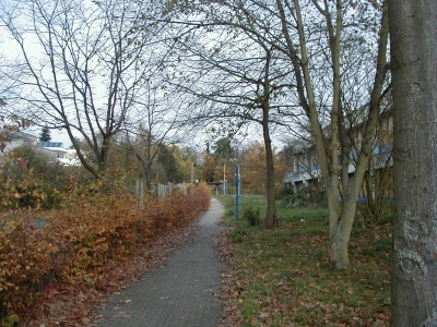 Keywords: Kassel Bettenhausen Joseph-von-Eichendorff-Schule Gesamtschule Sekundarstufe I Schule Vogelsang 15 EichwaldstraÃŸe 108