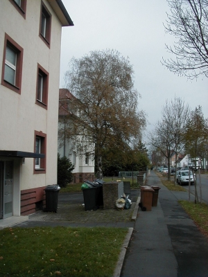 Keywords: Kassel Bettenhausen StraÃŸen HÃ¤user WohnhÃ¤user StraÃŸe Haus Wohnhaus Wohnung WohnstraÃŸe Quartier Viertel Stadtteil Bebauung Bau Bauten Ensemble MiramstraÃŸe MÃ¼lltonnen