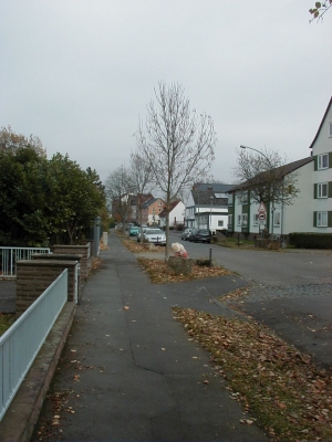 Keywords: Kassel Bettenhausen StraÃŸen HÃ¤user WohnhÃ¤user StraÃŸe Haus Wohnhaus Wohnung WohnstraÃŸe Quartier Viertel Stadtteil Bebauung Bau Bauten Ensemble MiramstraÃŸe