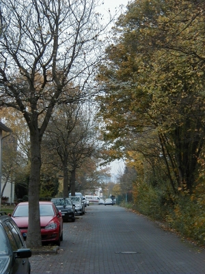 Keywords: Kassel Bettenhausen StraÃŸen HÃ¤user WohnhÃ¤user StraÃŸe Haus Wohnhaus Wohnung WohnstraÃŸe Quartier Viertel Stadtteil Bebauung Bau Bauten Ensemble Steinbreite