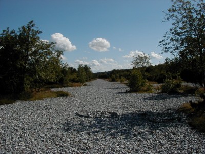 Keywords: Ostsee KÃ¼ste Insel RÃ¼gen Feuersteinfelder