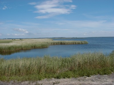 Keywords: Ostsee KÃ¼ste Insel Hiddensee Gellen