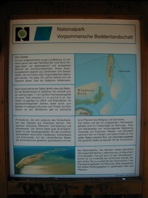 Keywords: Ostsee KÃ¼ste Insel Hiddensee Gellen