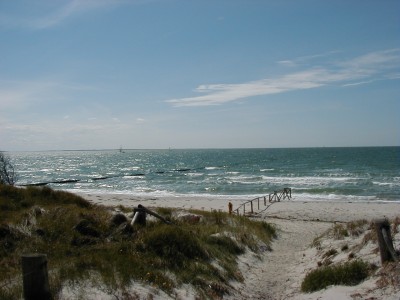 Keywords: Ostsee KÃ¼ste Insel Hiddensee Gellen