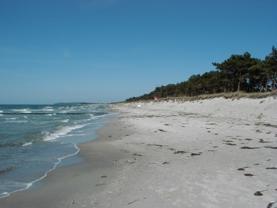 Keywords: Ostsee KÃ¼ste Insel Hiddensee Gellen