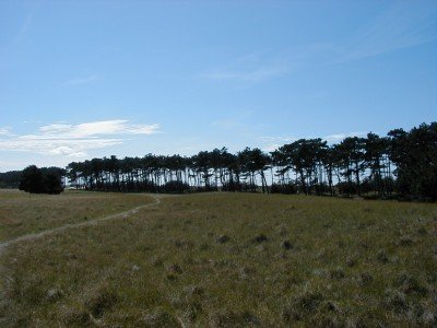 Keywords: Ostsee KÃ¼ste Insel Hiddensee Gellen