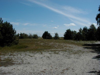 Keywords: Ostsee KÃ¼ste Insel Hiddensee Gellen