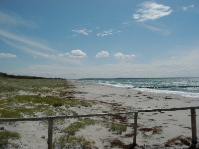 Keywords: Ostsee KÃ¼ste Insel Hiddensee Gellen