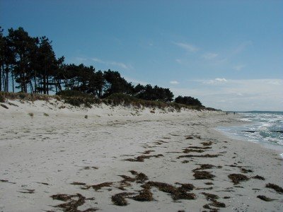 Keywords: Ostsee KÃ¼ste Insel Hiddensee Gellen