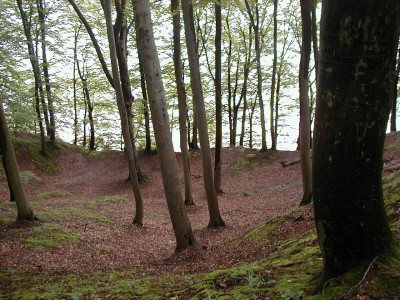 Keywords: Ostsee KÃ¼ste Insel RÃ¼gen Granitz