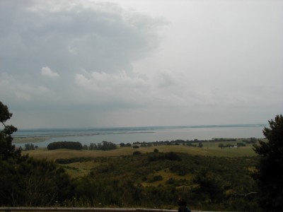 Keywords: Ostsee KÃ¼ste Insel Hiddensee Dornbusch