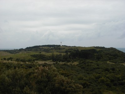 Keywords: Ostsee KÃ¼ste Insel Hiddensee Dornbusch