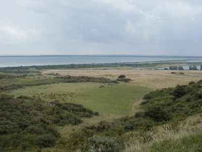 Keywords: Ostsee KÃ¼ste Insel Hiddensee Dornbusch